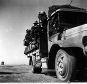 6_Bersaglieri autotrasportati si avviano verso la linea di battaglia.jpg