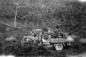 10_Speer transportkorps 20mm Breda AA-gun on Fiat SPA38 ebay.jpg
