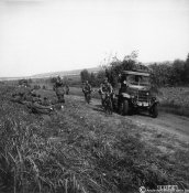 5_Truppa italiana in marcia verso le prime linee in Russia nell'estate 1941.jpg