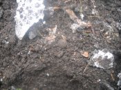 DSCN7468.JPG