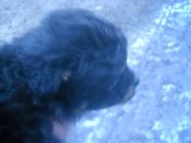 DSCN7477.JPG