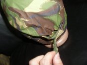 DSCI0526.JPG