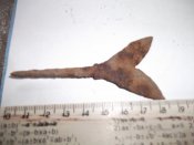 DSCF8544.JPG