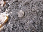 Изображение 371.jpg