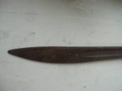 22451977.jpg