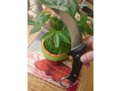 The_One_karambit_8.jpg
