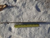 IMG06 270.jpg