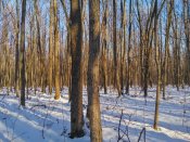 IMG_2015-12-16_112411_HDR[1].jpg