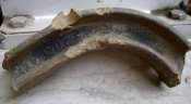 DSC07534.jpg