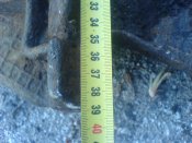 DSC03186.JPG