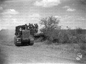 7_Caterpillar al lavoro per la costruzione di una strada Somalia 05-1936.jpg