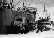 5_Movimenti di truppe nel porto di Durazzo nel settembre 1940.jpg