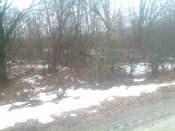 IMG_20151220_123904.jpg