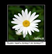 1265949584_028.jpg
