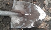 20151220_113744.jpg