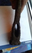 20151221_074936.jpg