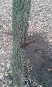 20151220_125809.jpg