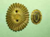 RSCN7441.JPG