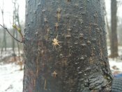 IMG_2015-12-20_114605_HDR[1].jpg