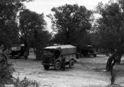 2_Gruppo di autoveicoli in una radura nell'inverno 1942.jpg