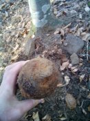 20151221124244.jpg
