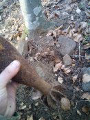 20151221124251.jpg