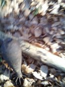 20151221124539.jpg