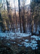 20151221125756.jpg