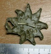 эдельвейс (4).JPG