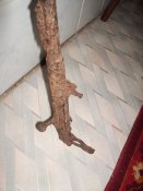 IMG_5431.jpg