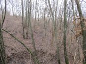 IMG_0163.JPG