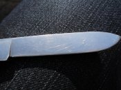 CIMG0696.JPG