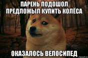 sad-doge_72627140_orig_.jpg