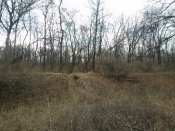 20151224_120902.jpg