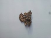 20151226_122338.jpg