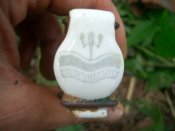 CIMG0422.jpg
