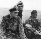 WaffSSUllrich202.jpg