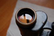 DSC_4498.JPG