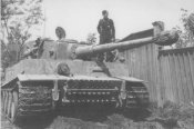 t4.jpg