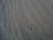 DSC07640.JPG