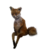 13545128726339.png