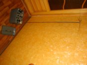 DSC04153.jpg