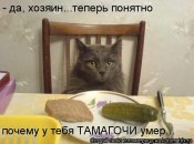 0a0d9c99abfd4cf64d42fe6fa6cf0797.jpg
