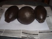 PC301490.JPG