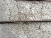 ^61DF8498899F8C5CFF16C1C833184C5B207EB2BA9AE370F70E^pimgpsh_fullsize_distr.jpg