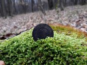 20151226_094436.jpg