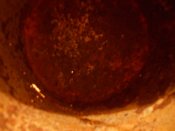 DSCN6792.JPG