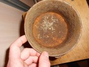 DSCN6797.JPG