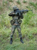 anfas_800.jpg