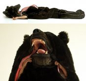 375b8a7028bfbbb7_sleepingbear.xxlarge.jpg